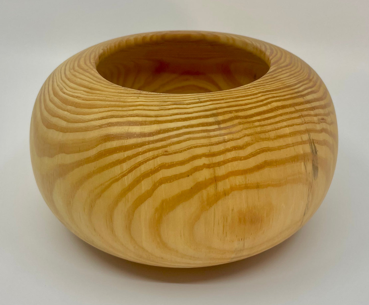 Loblolly Pine Enclosed Vessel