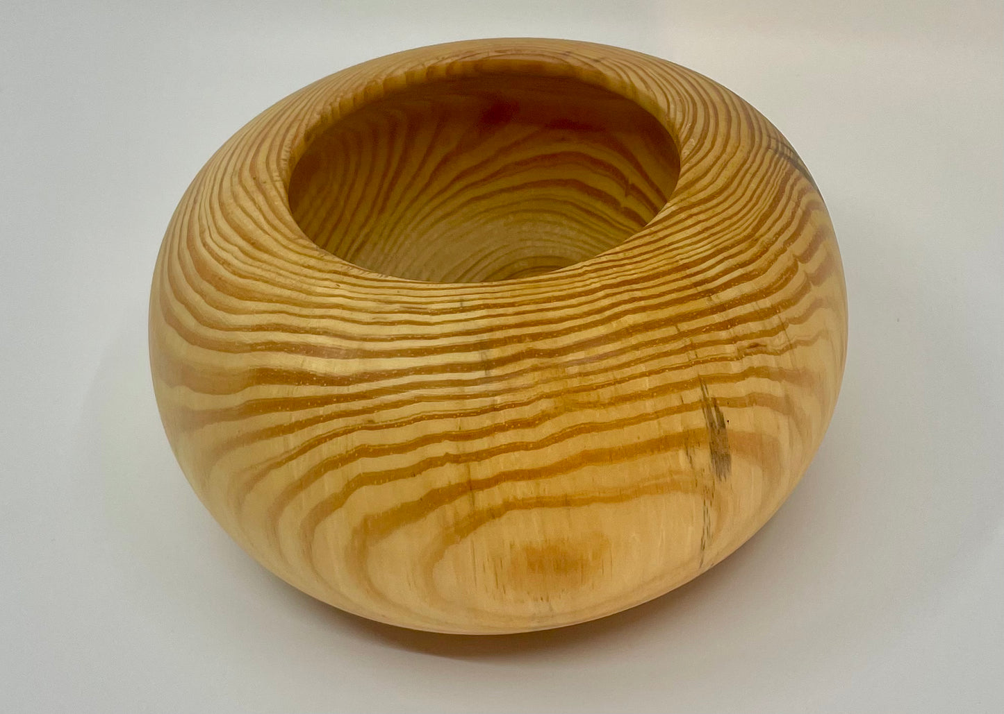 Loblolly Pine Enclosed Vessel